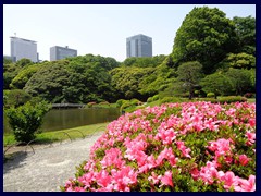 Shinjuku Gyoen 15